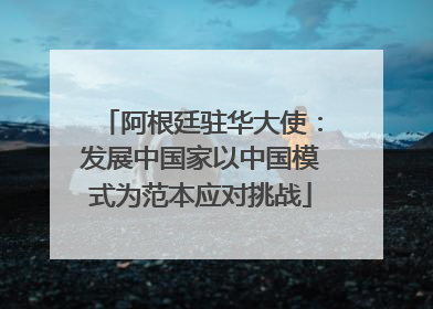 阿根廷驻华大使：发展中国家以中国模式为范本应对挑战