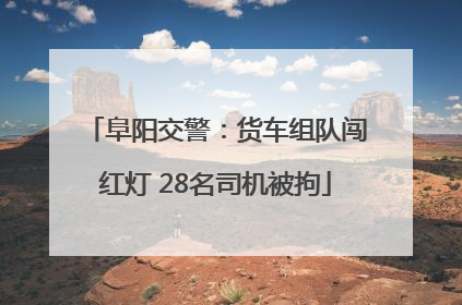 阜阳交警：货车组队闯红灯 28名司机被拘