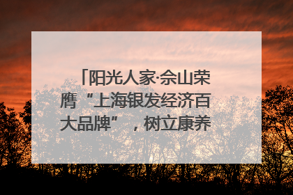 阳光人家·佘山荣膺“上海银发经济百大品牌”，树立康养行业新标杆