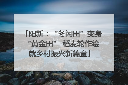 阳新：“冬闲田”变身“黄金田” 稻麦轮作绘就乡村振兴新篇章