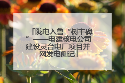 陇电入鲁“树丰碑”——电建核电公司建设灵台电厂项目并网发电侧记