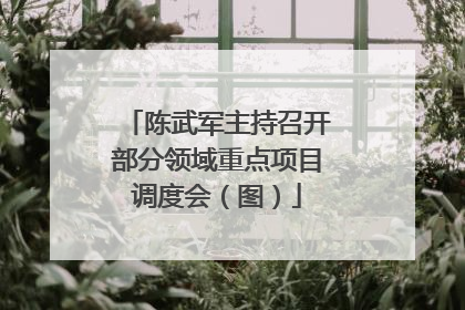 陈武军主持召开部分领域重点项目调度会（图）