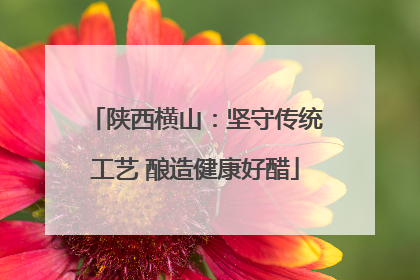 陕西横山：坚守传统工艺 酿造健康好醋