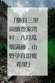 随县三里岗镇贾家湾村：八月瓜缀满藤，山野孕育甜蜜希望
