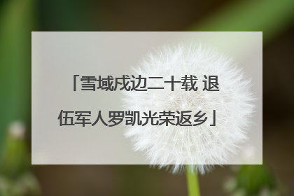 雪域戍边二十载 退伍军人罗凯光荣返乡