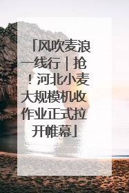 风吹麦浪一线行｜抢！河北小麦大规模机收作业正式拉开帷幕