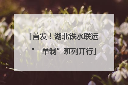 首发！湖北铁水联运“一单制”班列开行