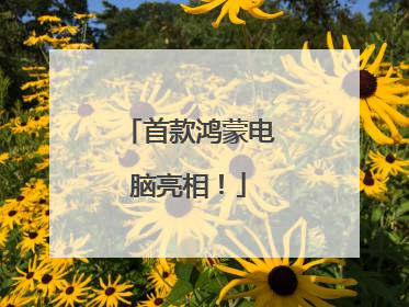 首款鸿蒙电脑亮相！