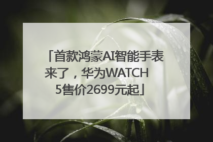 首款鸿蒙AI智能手表来了，华为WATCH 5售价2699元起