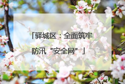 驿城区：全面筑牢防汛“安全网”