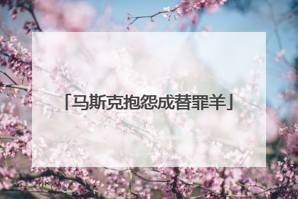 马斯克抱怨成替罪羊