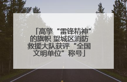 高擎“雷锋精神”的旗帜 望城区消防救援大队获评“全国文明单位”称号