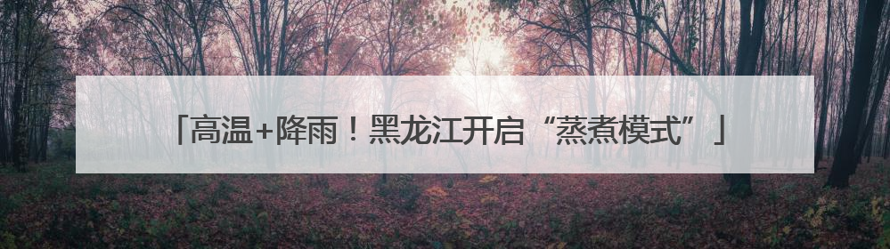 高温+降雨！黑龙江开启“蒸煮模式”