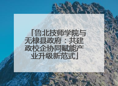 鲁北技师学院与无棣县政府：共建政校企协同赋能产业升级新范式