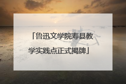 鲁迅文学院寿县教学实践点正式揭牌