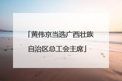 黄伟京当选广西壮族自治区总工会主席