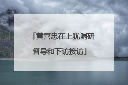 黄喜忠在上犹调研督导和下访接访