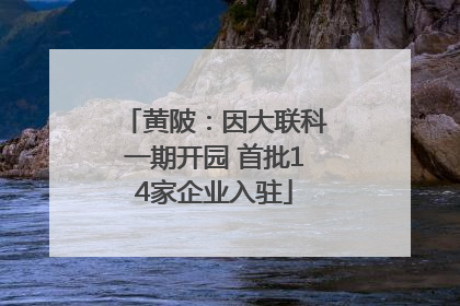 黄陂：因大联科一期开园 首批14家企业入驻