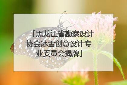 黑龙江省勘察设计协会冰雪创意设计专业委员会揭牌