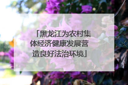 黑龙江为农村集体经济健康发展营造良好法治环境