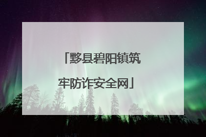 黟县碧阳镇筑牢防诈安全网