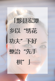 黟县宏潭乡以“绣花功夫”下好整治“先手棋”