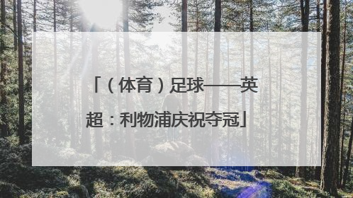 （体育）足球——英超：利物浦庆祝夺冠