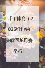 （体育）2025维也纳多瑙河龙舟赛举行