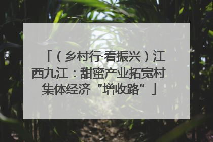 （乡村行·看振兴）江西九江：甜蜜产业拓宽村集体经济“增收路”