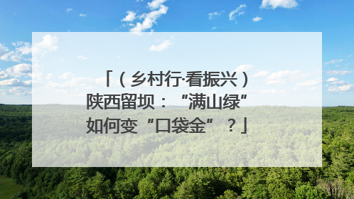 （乡村行·看振兴）陕西留坝：“满山绿”如何变“口袋金”？