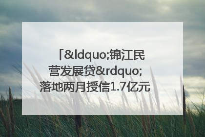 “锦江民营发展贷”落地两月授信1.7亿元，惠及118家民企