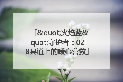 "火焰蓝"守护者：028县道上的暖心营救