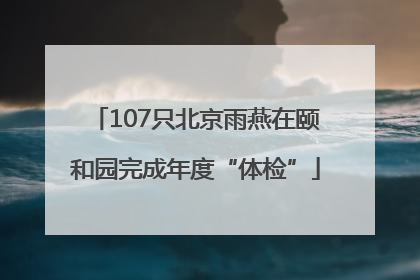 107只北京雨燕在颐和园完成年度“体检”
