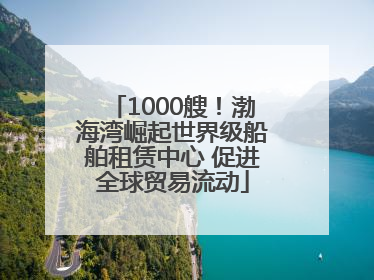 1000艘！渤海湾崛起世界级船舶租赁中心 促进全球贸易流动