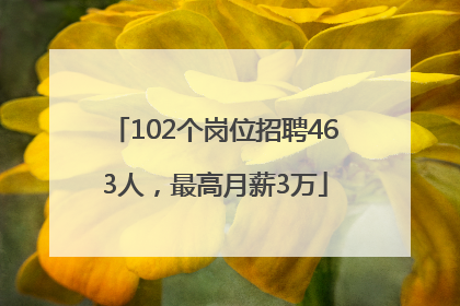 102个岗位招聘463人，最高月薪3万