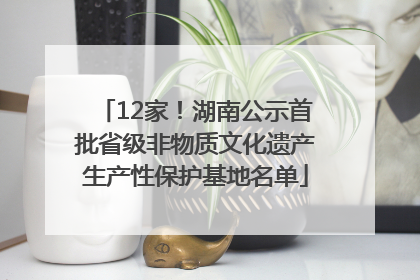 12家！湖南公示首批省级非物质文化遗产生产性保护基地名单