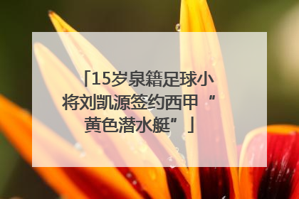 15岁泉籍足球小将刘凯源签约西甲“黄色潜水艇”