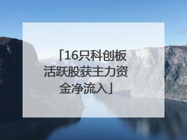 16只科创板活跃股获主力资金净流入