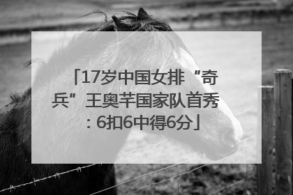 17岁中国女排“奇兵”王奥芊国家队首秀：6扣6中得6分
