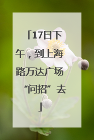 17日下午，到上海路万达广场“问招”去