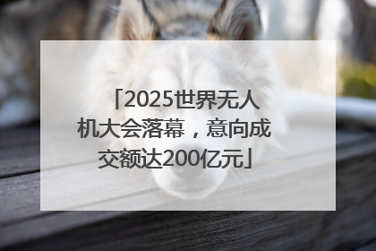 2025世界无人机大会落幕，意向成交额达200亿元