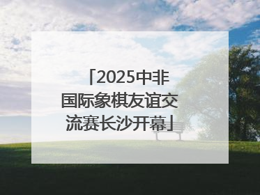 2025中非国际象棋友谊交流赛长沙开幕