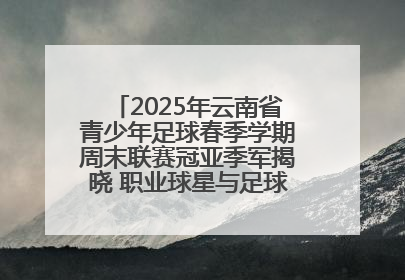 2025年云南省青少年足球春季学期周末联赛冠亚季军揭晓 职业球星与足球小将共享荣耀时刻