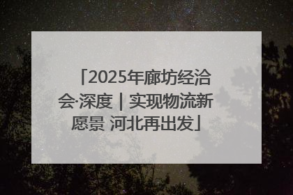 2025年廊坊经洽会·深度｜实现物流新愿景 河北再出发