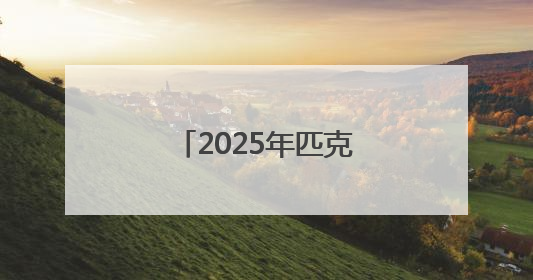 2025年匹克球巡回赛江西庐山西海站收官
