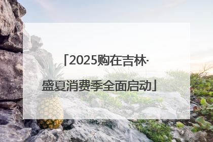 2025购在吉林·盛夏消费季全面启动