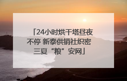24小时烘干塔昼夜不停 新泰供销社织密三夏“粮”安网