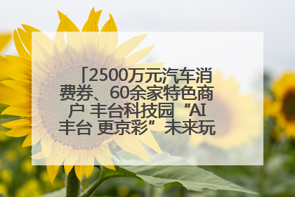 2500万元汽车消费券、60余家特色商户 丰台科技园“AI丰台 更京彩”未来玩家市集活动正式开幕