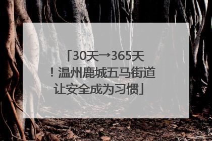 30天→365天！温州鹿城五马街道让安全成为习惯