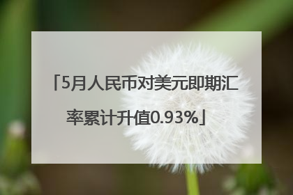 5月人民币对美元即期汇率累计升值0.93%